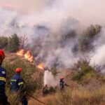 Υπό έλεγχο τέθηκε η πυρκαγιά σε δασική έκταση στην περιοχή Ρειχέα Λακωνίας