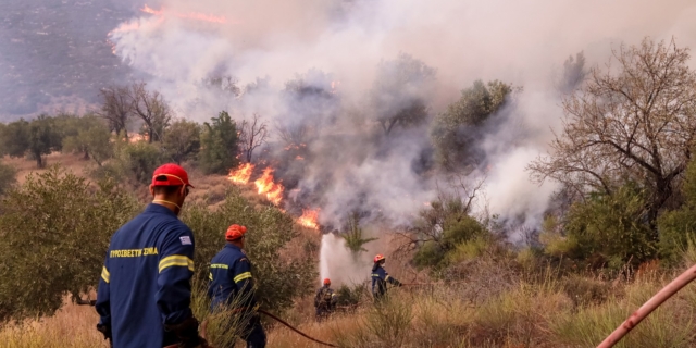 Υπό έλεγχο τέθηκε η πυρκαγιά σε δασική έκταση στην περιοχή Ρειχέα Λακωνίας