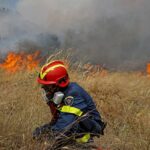 Συλλήψεις και επιβολή διοικητικών προστίμων σε Λακωνία, Ηλεία, Φθιώτιδα, Αιτωλοακαρνανία, Πέλλα, Αχαΐα και Λάρισα