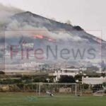 Πυρκαγιά χορτολιβαδική έκταση επί της Επαρχιακής Οδού Παροικιάς -Νάουσας στο νησί της Πάρου