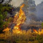 Πυρκαγιά σε χαμηλή βλάστηση στην Περιφερειακή Αιγάλεω στον Ασπρόπυργο