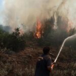 Πυρκαγιά σε αγροτοδασική έκταση στους Δελφούς Φωκίδας