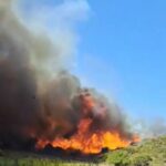 Πυρκαγιά σε αγροτοδασική έκταση στον Άγιο Στέφανο Λακωνίας