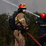 Πυροσβεστική: 49 αγροτοδασικές πυρκαγιές το τελευταίο 24ωρο