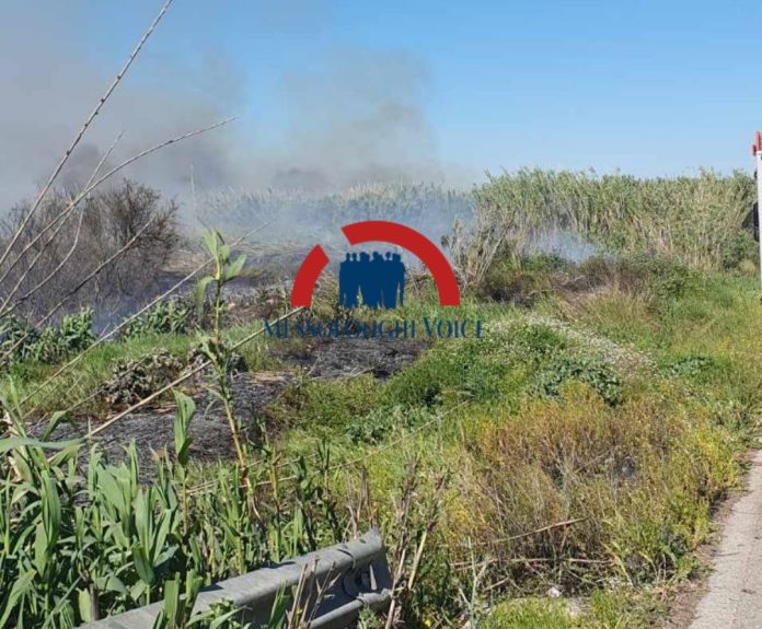 Πυρκαγιά σε έκταση με καλάμια στο Μεσολόγγι