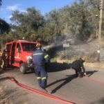 Υπό μερικό έλεγχο τέθηκε η πυρκαγιά σε δασική έκταση στην περιοχή Μεγαλόβρυσο Αγιάς Λάρισας
