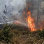 Σύλληψη για πυρκαγιά σε αγροτική έκταση στον Κάλαμο Αττικής