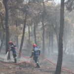 Πυροσβεστική: 26 αγροτοδασικές πυρκαγιές το τελευταίο 24ωρο