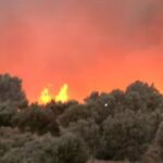 Πυρκαγιά σε αγροτοδασική έκταση στο Άνυδρο Φθιώτιδας