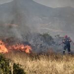 Συλλήψεις και επιβολή διοικητικών προστίμων σε Μεσσηνία, Λακωνία, Χίο, Λάρισα, Αχαΐα, Χανιά, Θάσο, Ξάνθη και Λευκάδα