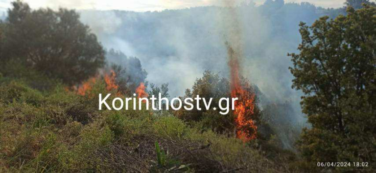 Πυρκαγιά σε ρεματιά στο Μπολάτι Κορινθίας