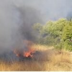 Πυροσβεστική: 39 αγροτοδασικές πυρκαγιές το τελευταίο 24ωρο