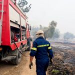 Συλλήψεις και επιβολή διοικητικών προστίμων σε Ηλεία και Αττική