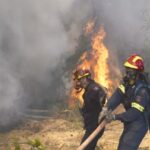 Σύλληψη και επιβολή διοικητικών προστίμων σε Αιτωλοακαρνανία, Κεφαλονιά, Καβάλα, και Αλεξανδρούπολη