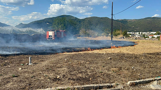 Επιβολή διοικητικών προστίμων σε Χαλκιδική, Σέρρες, Κέρκυρα, Δράμα και Πάρο