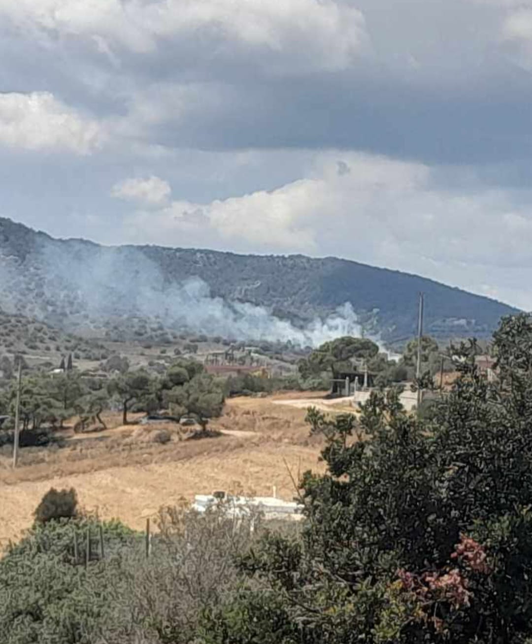 Άμεσα ελέγχθηκε πυρκαγιά σε χαμηλή βλάστηση στην περιοχή Κακή Βίγλα Σαλαμίνας