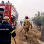 Υπό μερικό έλεγχο τέθηκε η πυρκαγιά σε δασική έκταση στο νησί των Οθωνών