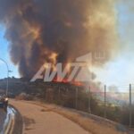 Κύπρος: Ανεξέλεγκτη η πυρκαγιά στον Άγιο Συλά