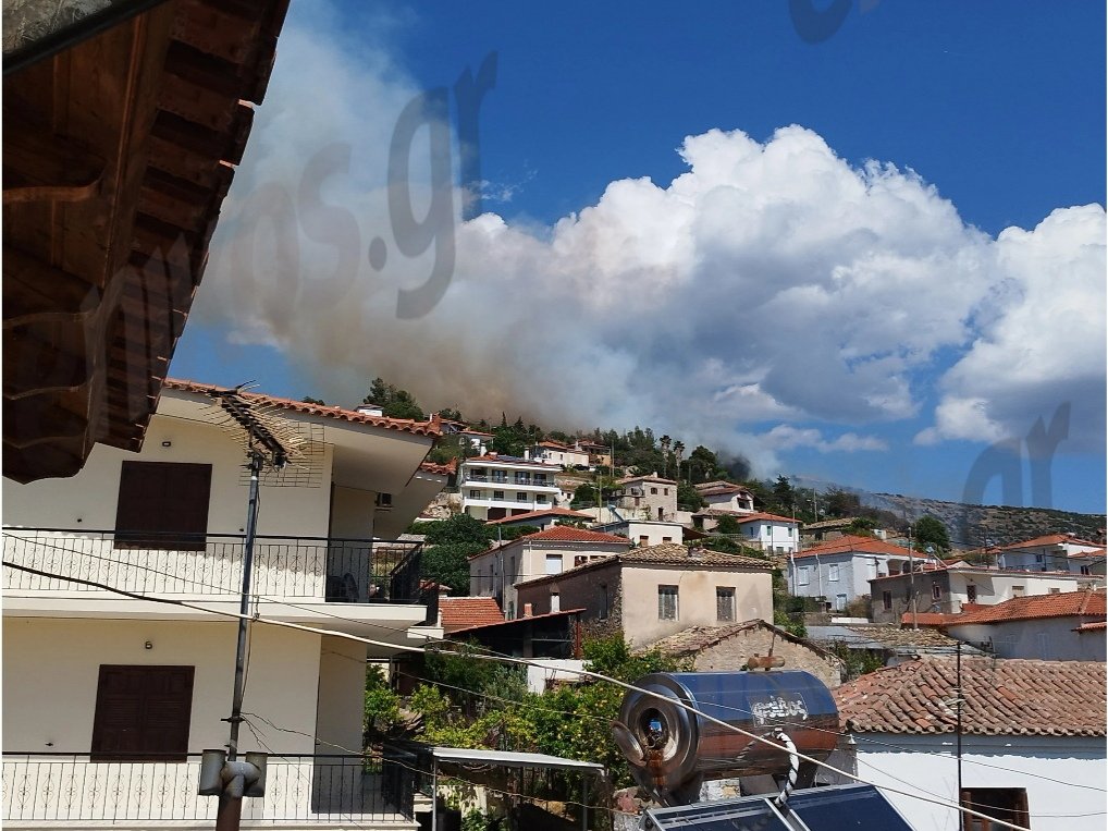 Πυρκαγιά σε δασική έκταση στην Προσύμνη Αργολίδας