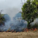 Πυρκαγιά σε αγροτική έκταση στην περιοχή Μπομπέικα Αργολίδας