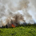 Πυρκαγιά σε αγροτοδασική έκταση στην περιοχή Μετόχι Μεγάρων