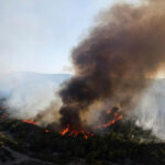 Πυρκαγιά σε δασική έκταση στην Προσύμνη Αργολίδας