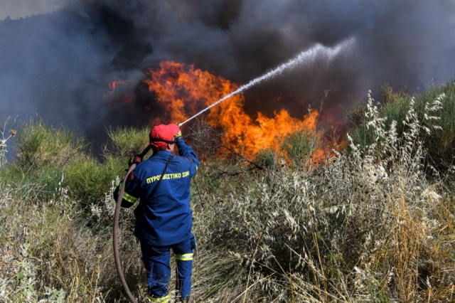 Προφυλακιστέος άνδρας για εμπρησμό στο Καλέντζι Ιωαννίνων