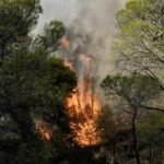 Πυρκαγιά σε αγροτοδασική έκταση στην περιοχή Αγία Τριάδα Βοιωτίας