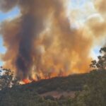Πυρκαγιά σε αγροτοδασική έκταση στην περιοχή Μούρεσι Μαγνησίας