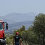 Υπό μερικό έλεγχο τέθηκε η πυρκαγιά στο Μούρεσι Μαγνησίας