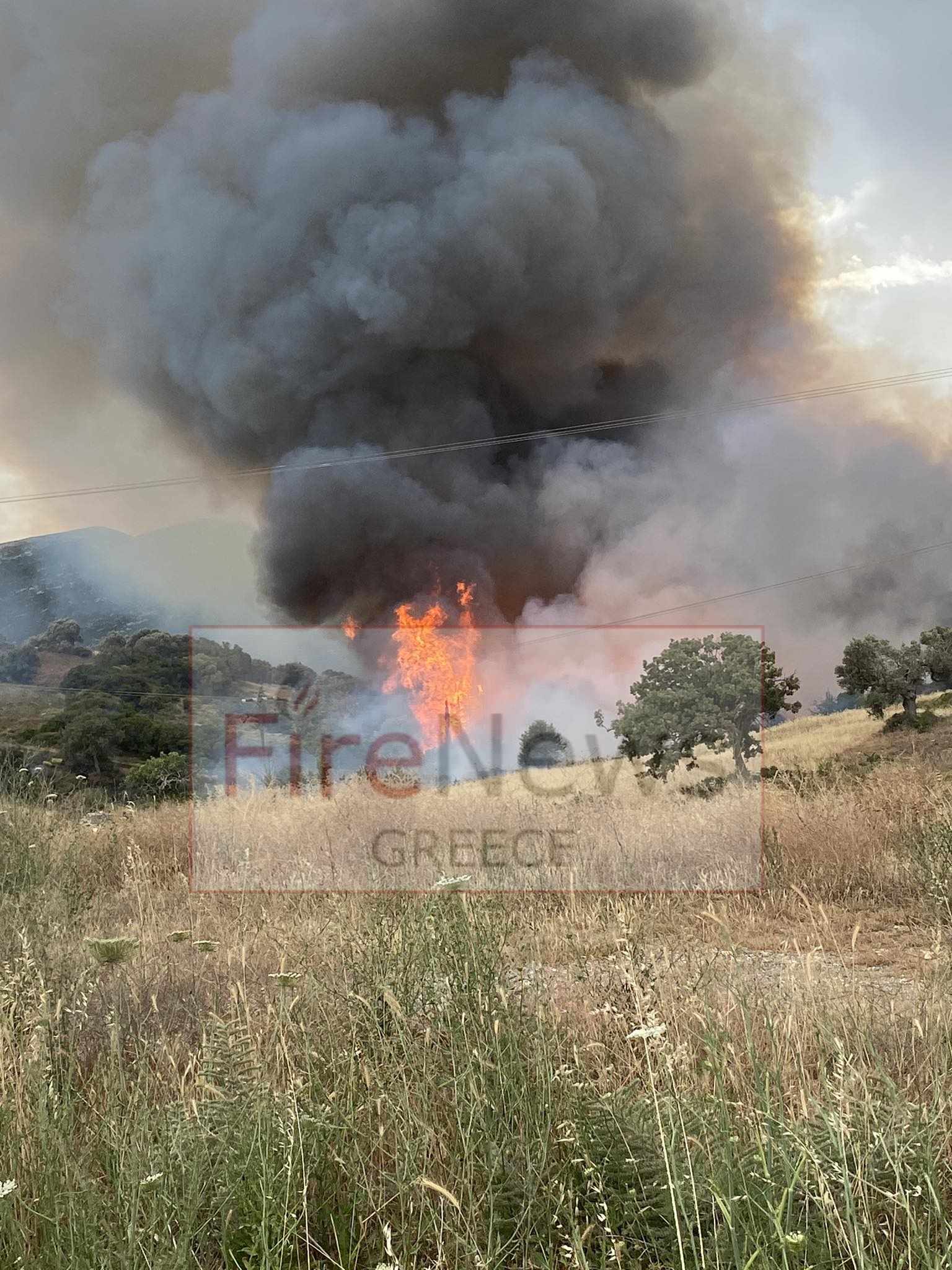Πυρκαγιά σε αγροτοδασική έκταση στην περιοχή Αλμυροπόταμος Ευβοίας