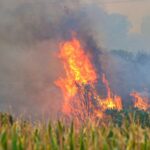 Άμεσα τέθηκε υπό μερικό έλεγχο πυρκαγιά σε αγροτοδασική έκταση, στο Καπανδρίτι