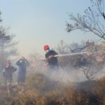 Πυρκαγιά σε αγροτοδασική έκταση στην περιοχή Τζαβερδέλλα Ασπροπύργου