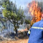 Πυροσβεστική: 29 αγροτοδασικές πυρκαγιές το τελευταίο 24ωρο