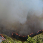 Πυρκαγιά σε δασική έκταση στην περιοχή Μάραθος Ευρυτανίας
