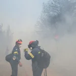 Πυροσβεστική: 29 αγροτοδασικές πυρκαγιές το τελευταίο 24ωρο