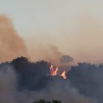 Πυρκαγιά σε δασική έκταση στην περιοχή Άνω Κουρτέσι Ανδραβίδα
