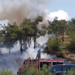 Πυρκαγιά σε αγροτοδασική έκταση στην περιοχή Συκιά Χαλκιδικής