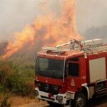 Πυρκαγιά σε αγροτοδασική έκταση στην περιοχή Αχλάδι Φθιώτιδας