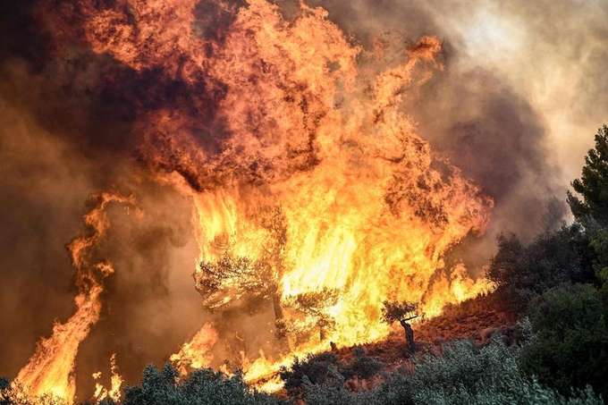 Από κάπνισμα μελισσών η μεγάλη πυρκαγιά στην Κορινθια