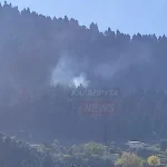 Άμεσα τέθηκε υπό μερικό έλεγχο η πυρκαγιά σε δασική έκταση στην περιοχή Άρμπουνας Αχαΐας
