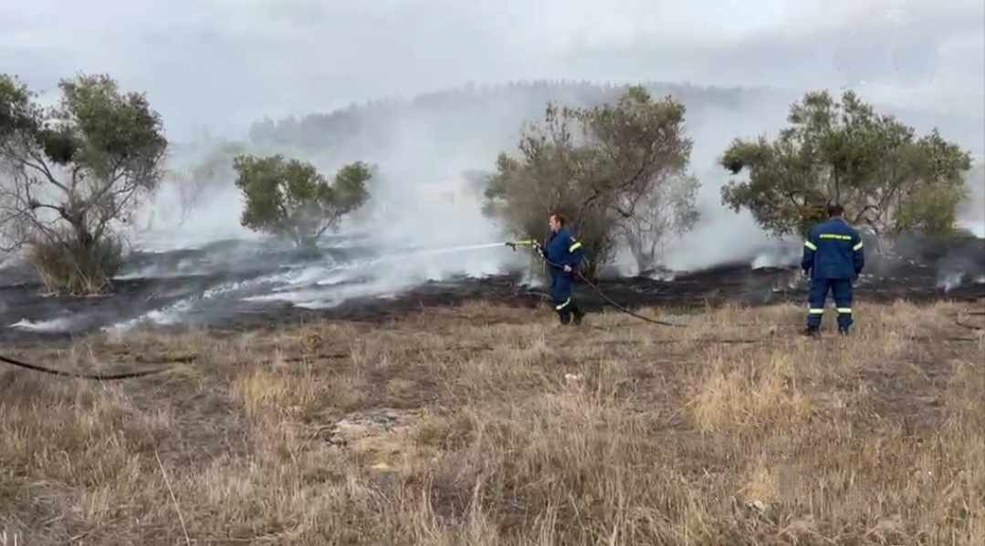 Βαριά πρόστιμα για παράνομες καύσεις σε Λαμία, Ρόδο, Βόλο και Κοζάνη