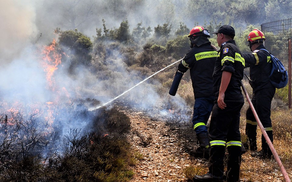 Πυρκαγιά σε δασική έκταση στην περιοχή Ζάρακας Λακωνίας