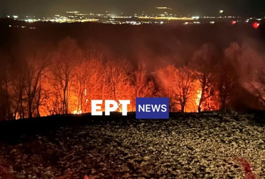 Υπό πλήρη έλεγχο οι πυρκαγιές σε χορτολιβαδικές εκτάσεις στην Καστοριά