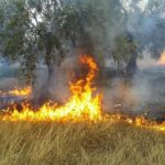 Σορό ηλικιωμένου εντοπίστηκε εντός καλλιεργήσιμης έκτασης στη Δάφνη Κοζάνης