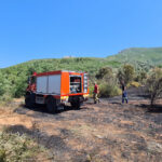 Νέα πρόστιμα και συλλήψεις για καύσεις χωρίς μέτρα πυρασφάλειας σε Κορινθία, Ηλεία, Κέρκυρα, Σκύρο, Κρήτη, Θεσπρωτία και Λακωνία