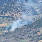 Πυρκαγιά σε αγροτολιβαδική έκταση στα Καλάβρυτα