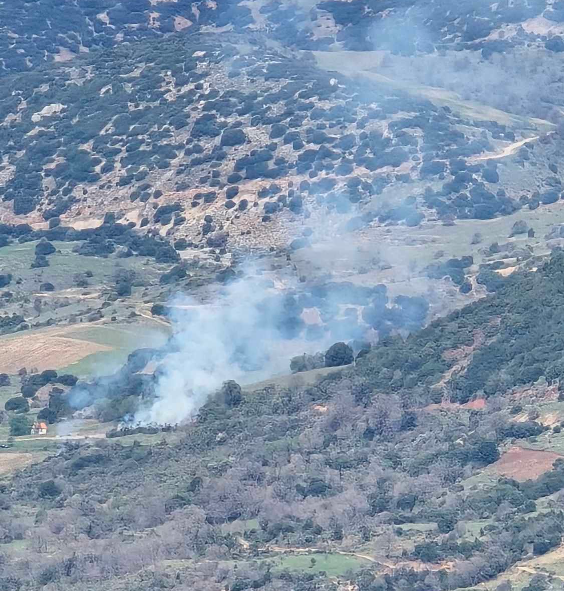 Πυρκαγιά σε αγροτολιβαδική έκταση στα Καλάβρυτα