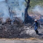 Υπό μερικό έλεγχο η πυρκαγιά στους Κουνάβους Ηρακλείου
