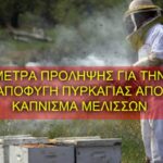 Προληπτικά μέτρα για την καύση μελισσών και απαιτήσεις πυρασφάλειας